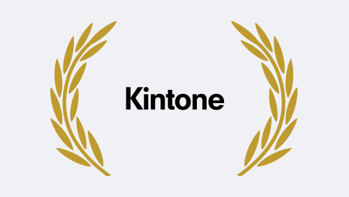 Kintone - Quantcast Ad