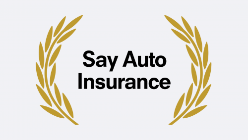 Say Auto Insurance ad
