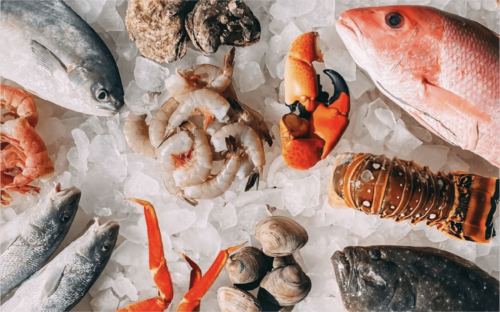 Manettas Seafood Catches High-Value Customers with Deep Audience Insights